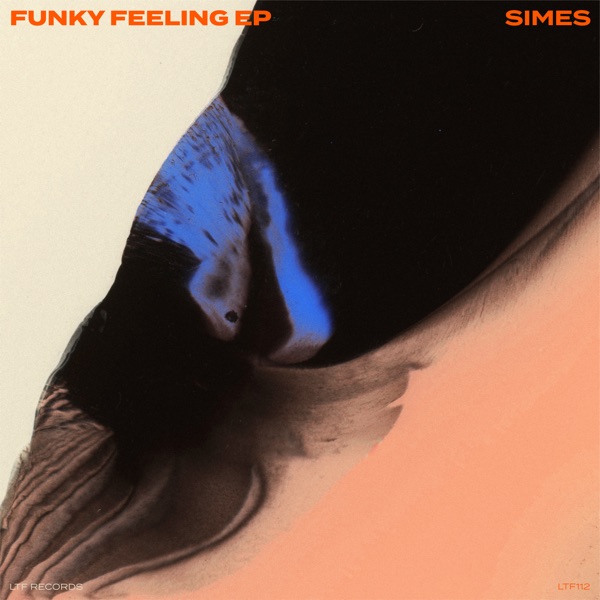 Artwork for Funky Feeling by Simes