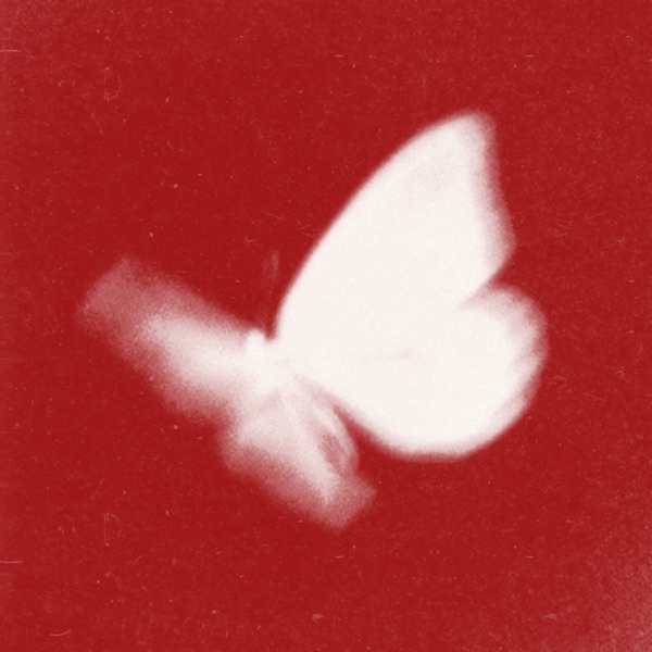 Artwork for Butterfly 2026 by Crazy Town, bradeazy